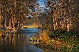 Guadalupe River Evening_44988